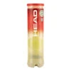 Head Championship Tubo Da 4 -Tennis Attrezzature Negozio 0147700000 000