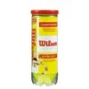 Wilson Championship Tubo Da 3 -Tennis Attrezzature Negozio 0157700000 000