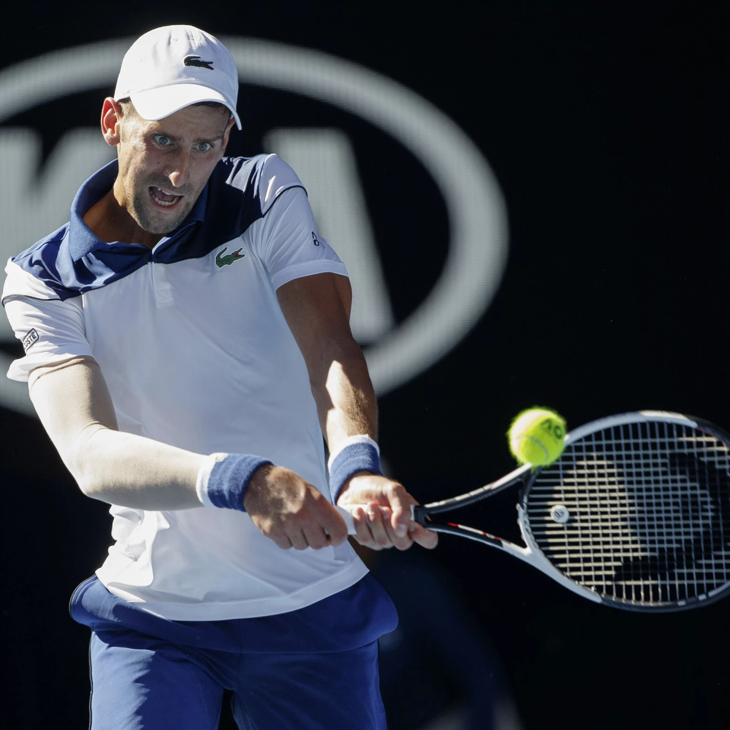 Head Hawk Set Di Corde 12m - Grigio 4 Head Hawk Set Di Corde 12m - Grigio - immagine 2